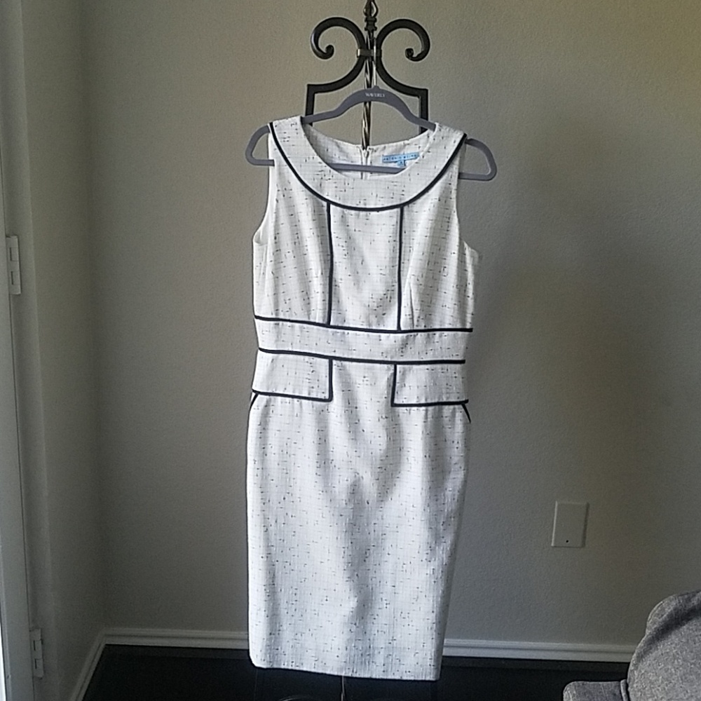 Antonio Melani Dress with pockets